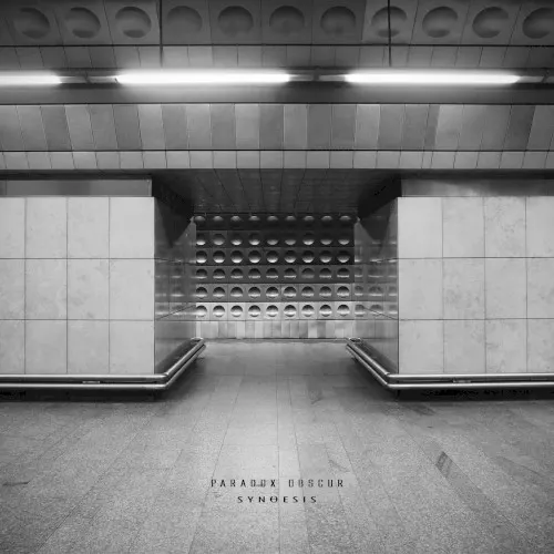 SYNΘESIS — Paradox Obscur