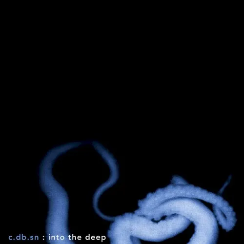 Into the Deep — c.db.sn