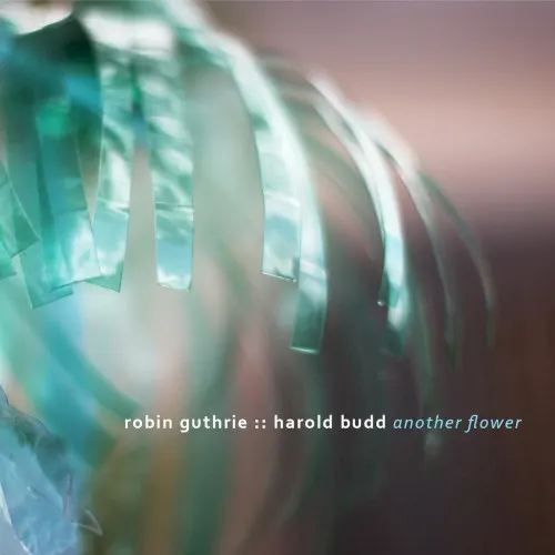 Another Flower — Robin Guthrie