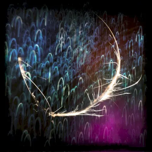 Cordyceps — Omri Cohen