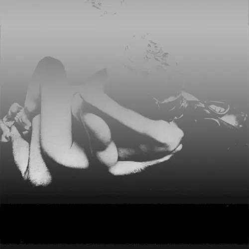Thanks to the Moth and Areanna Rose — The Veldt