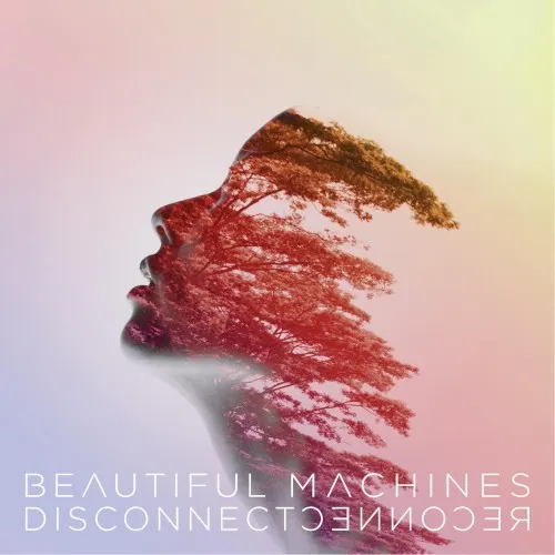 Disconnect : : Reconnect — Beautiful Machines