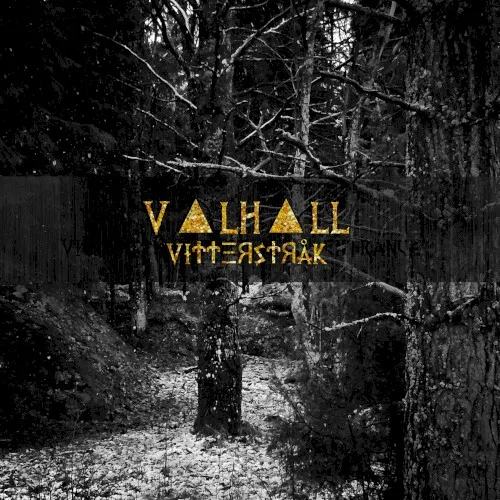 Vi††ΞЯS†ЯåK — Valhall