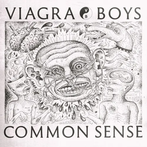 Common Sense — Viagra Boys
