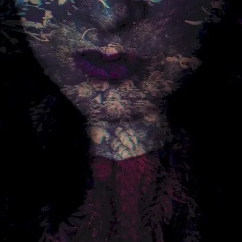 Fierce — Hante.