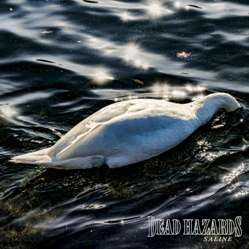 Saline — Dead Hazards