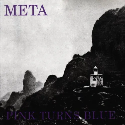 Meta — Pink Turns Blue