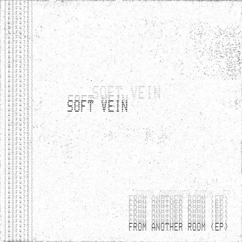 From Another Room — SOFT VEIN