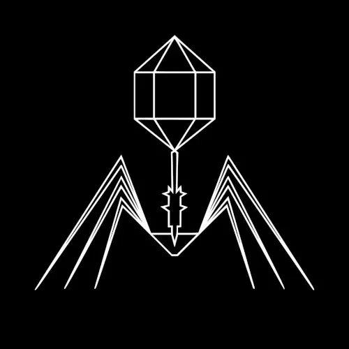 Subtract — Beta Virus