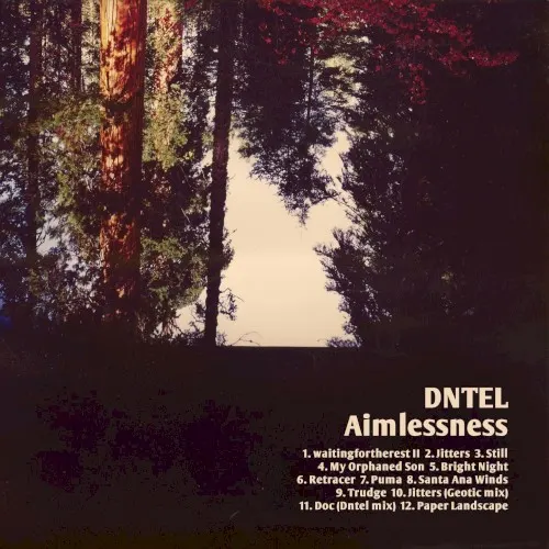 Aimlessness — Dntel