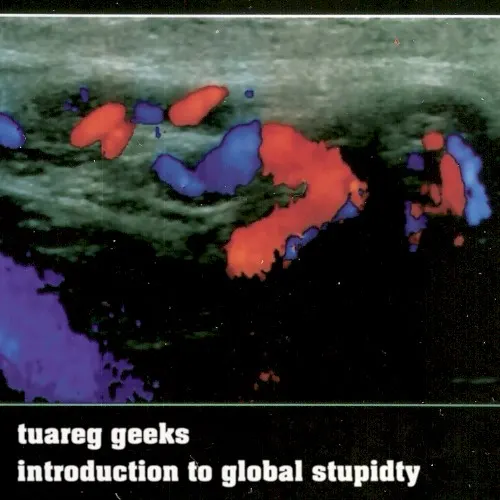 Introduction to Global Stupidity — Tuareg Geeks