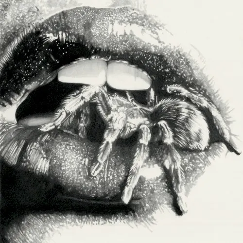 Let The Spiders In — Masheena