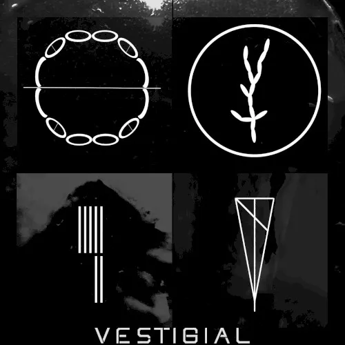 Vestigial — RECONVALESCENT