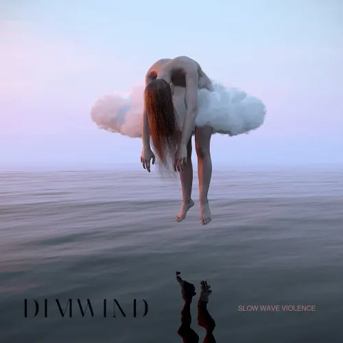 Slow Wave Violence — DIMWIND