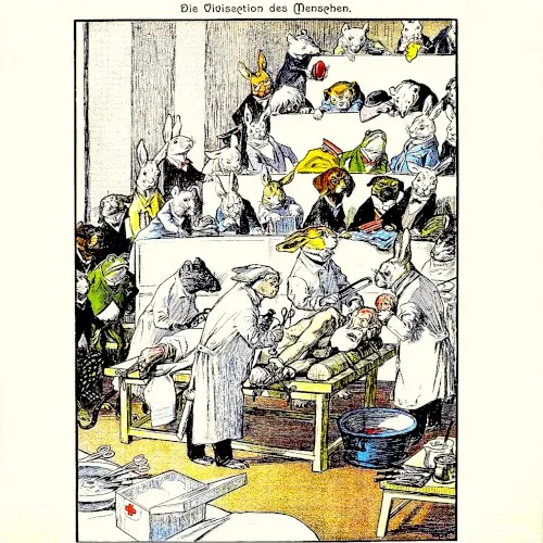 Die vivisection des menschen — Klusterhead