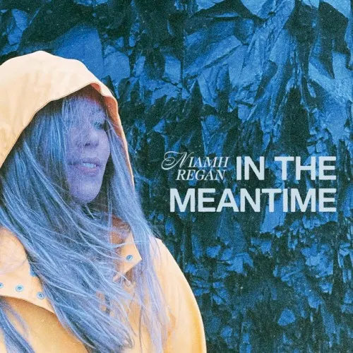 In the Meantime — Niamh Regan