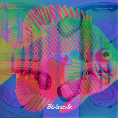 Blokeacola — Blokeacola