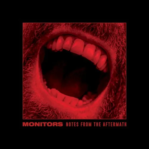 Notes From The Aftermath — Monitors