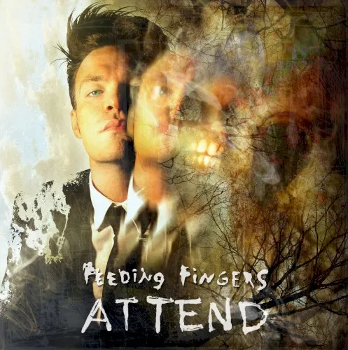 Attend — Feeding Fingers