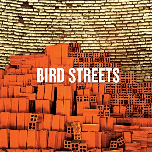 Bird Streets — Bird Streets