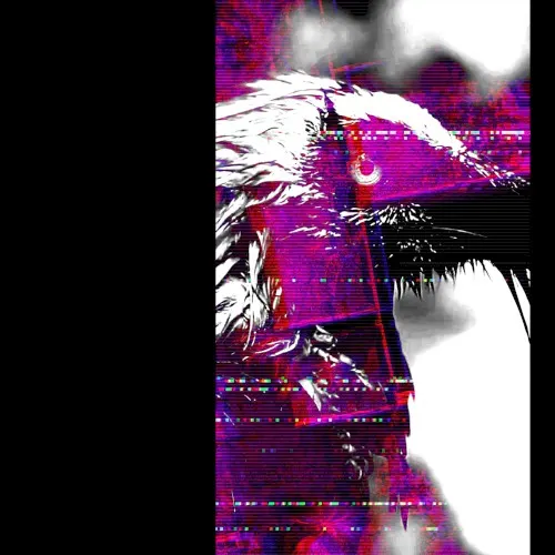 Vulture — Slighter