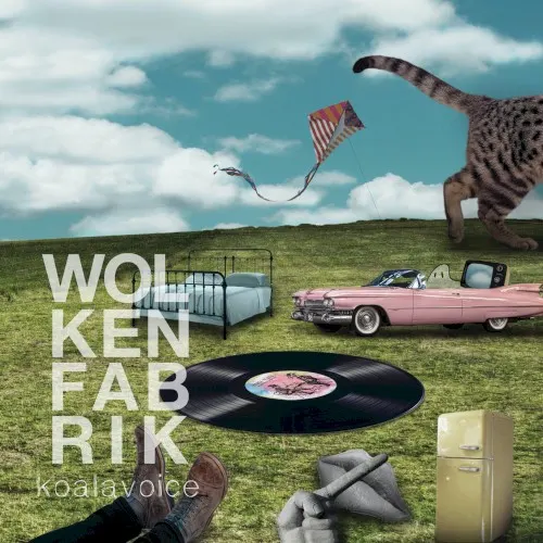 Wolkenfabrik — Koala Voice