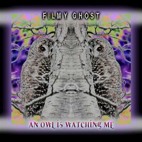 An Owl Is Watching Me — Filmy Ghost