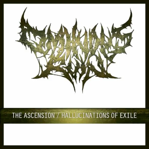 Demo 2014 — Ominous Ruin