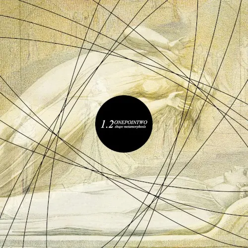 Shape Metamorphosis — Onepointwo