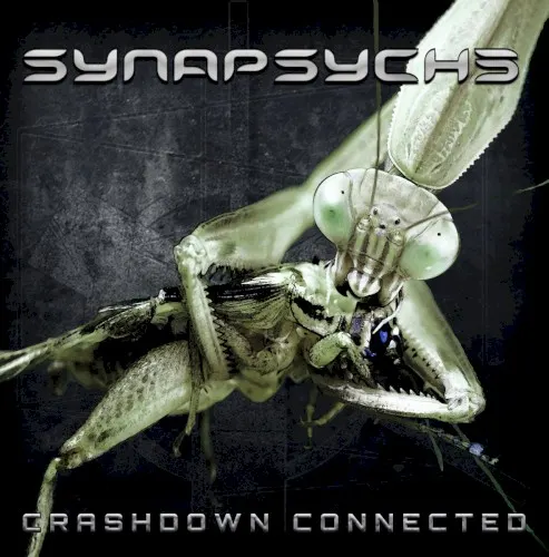 Crashdown Connected — Synapsyche