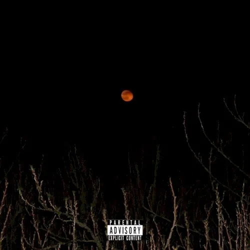 Pain — Theo Bleak