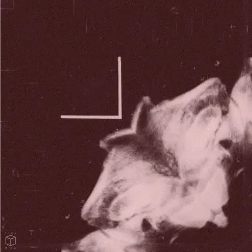 Anomalies — Hanging Freud