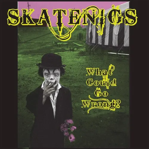 What Could Go Wrong? — Skatenigs