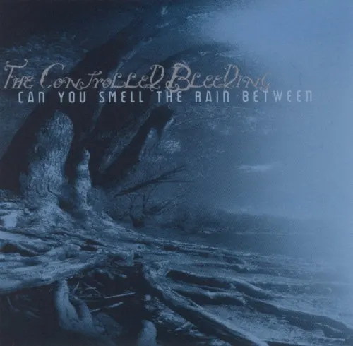 Can You Smell the Rain Between — Controlled Bleeding