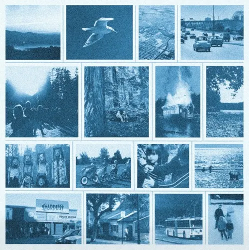 Hills of Cedar — Camp of Wolves