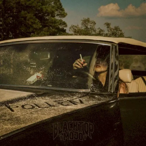 Pollen — Blacktop Mojo