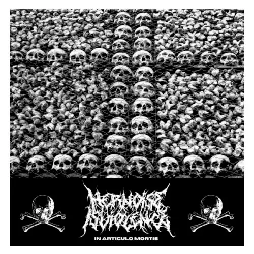 In Articulo Mortis — Her Noise Is Violence