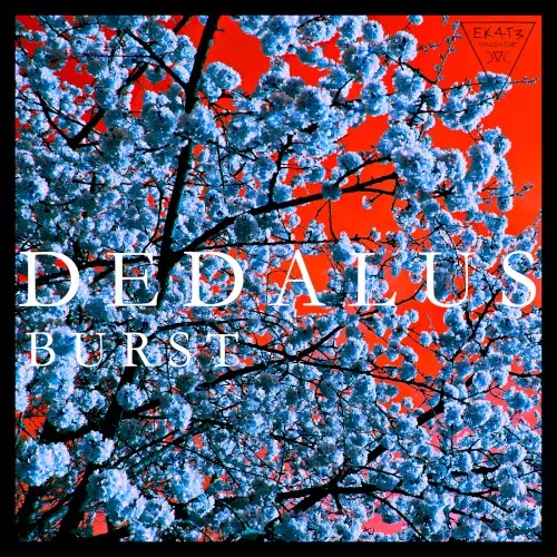 Burst — Dedalos