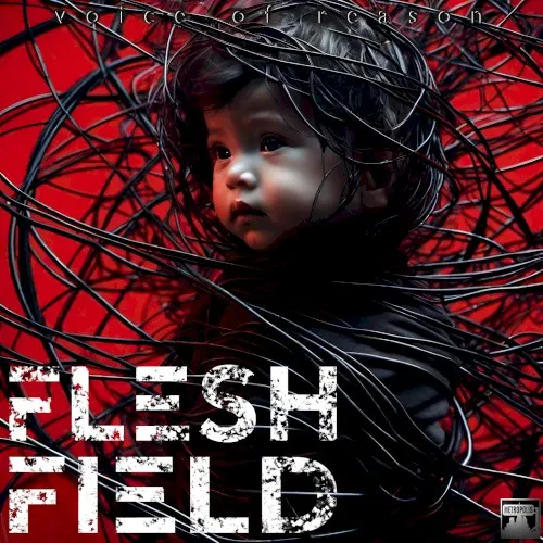 Voice of Reason — Flesh Field