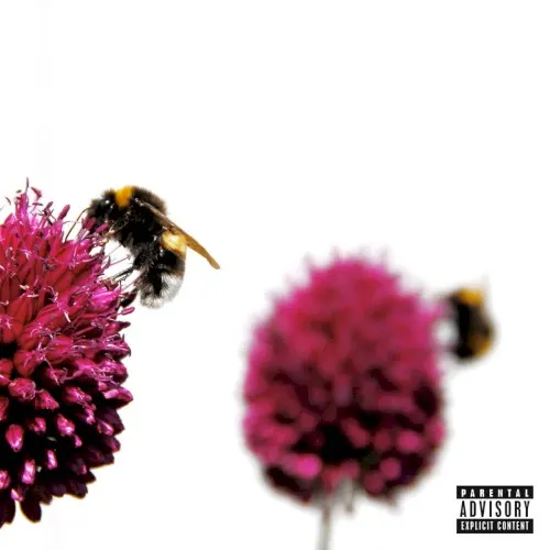 Bees — The Frst
