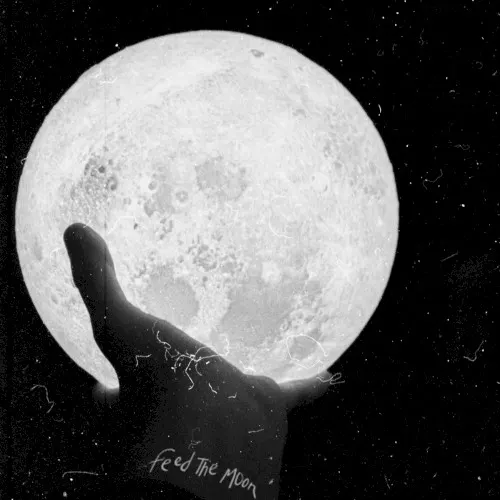 Feed the Moon — Yard of Blondes