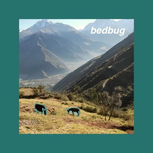 bedbug — bedbug
