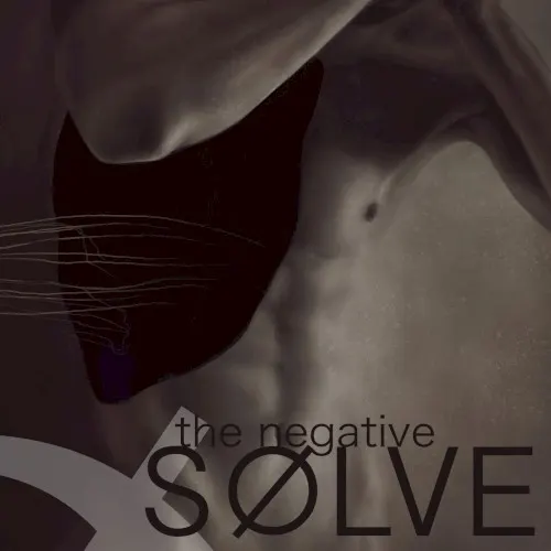 the negative — 18. SØLVE