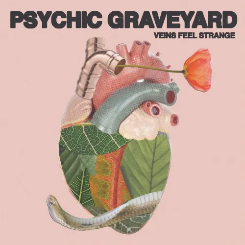 Veins Feel Strange — Psychic Graveyard