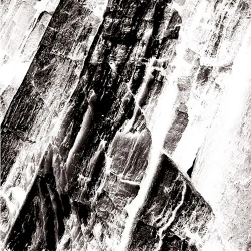 Hissing Veil — Bestial Mouths