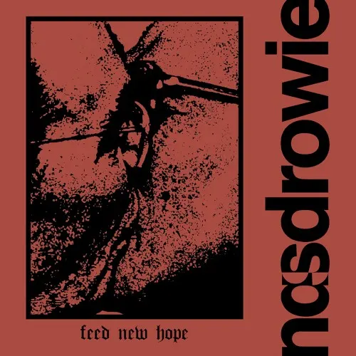 Feed New Hope — Nasdrowie