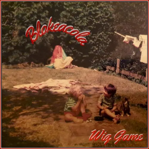 Wig Game — Blokeacola