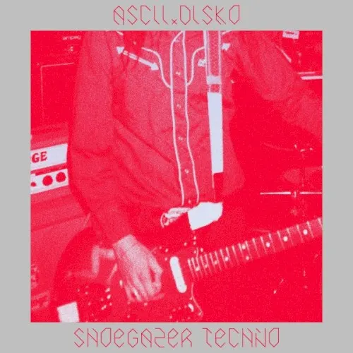 Shoegazer Techno — Ascii.Disko
