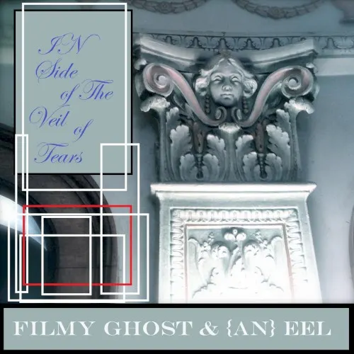 Inside of the Veil of Tears — Filmy Ghost