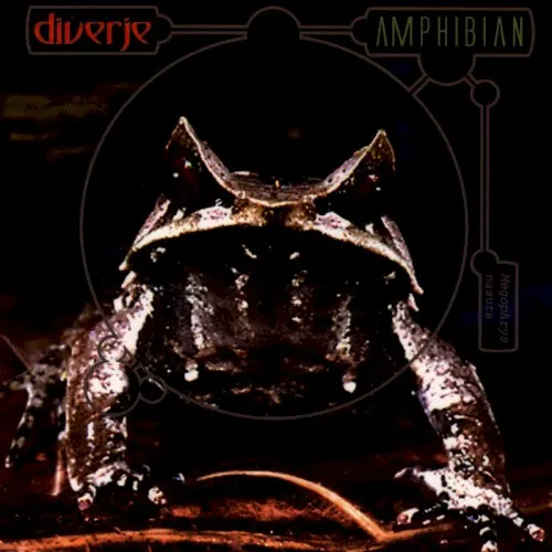 Amphibian — DIVERJE